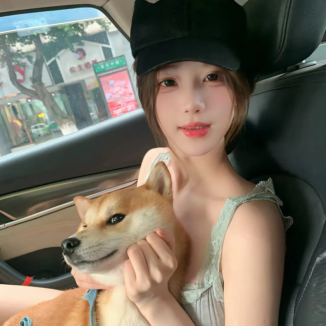 难续未了缘